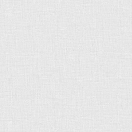 Giấy Dán Tường The View TWall 9800-5