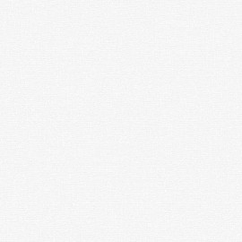 Giấy Dán Tường The View TWall 9801-1