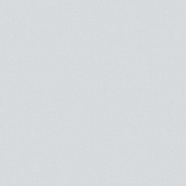 Giấy Dán Tường The View TWall 9803-5