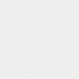 Giấy Dán Tường The View TWall 9806-1