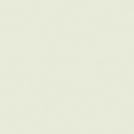 Giấy Dán Tường The View TWall 9806-2