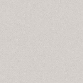 Giấy Dán Tường The View TWall 9806-4