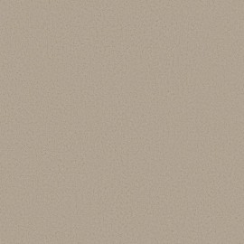 Giấy Dán Tường The View TWall 9806-5