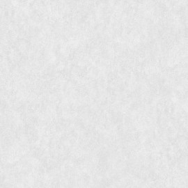 Giấy Dán Tường The View TWall 9809-5