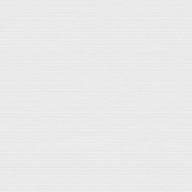 Giấy Dán Tường The View TWall 9813-5