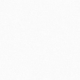 Giấy Dán Tường The View TWall 9816-4