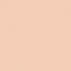 Giấy Dán Tường The View TWall 9824-3