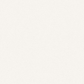 Giấy Dán Tường The View TWall 9829-2