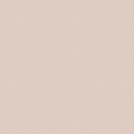 Giấy Dán Tường The View TWall 9829-5