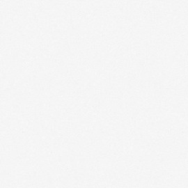 Giấy Dán Tường The View TWall 9829-6