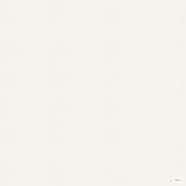 Giấy Dán Tường V-Concept 7909-2