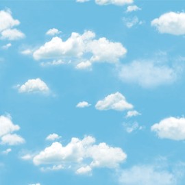 Giấy Dán Tường Hàn Quốc Natural 88421-2 Giấy Dán Tường Hàn Quốc Natural 88421-2