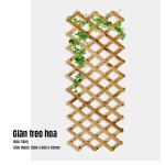 Giàn Treo Hoa - Vàng