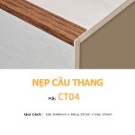 Nẹp nhôm cầu thang CT04