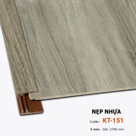 Nẹp Nhựa Kết Thúc  F5-151