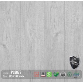 Sàn Gỗ Dream Lux 8mm PL8879