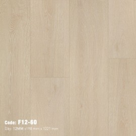 Sàn gỗ F12-60